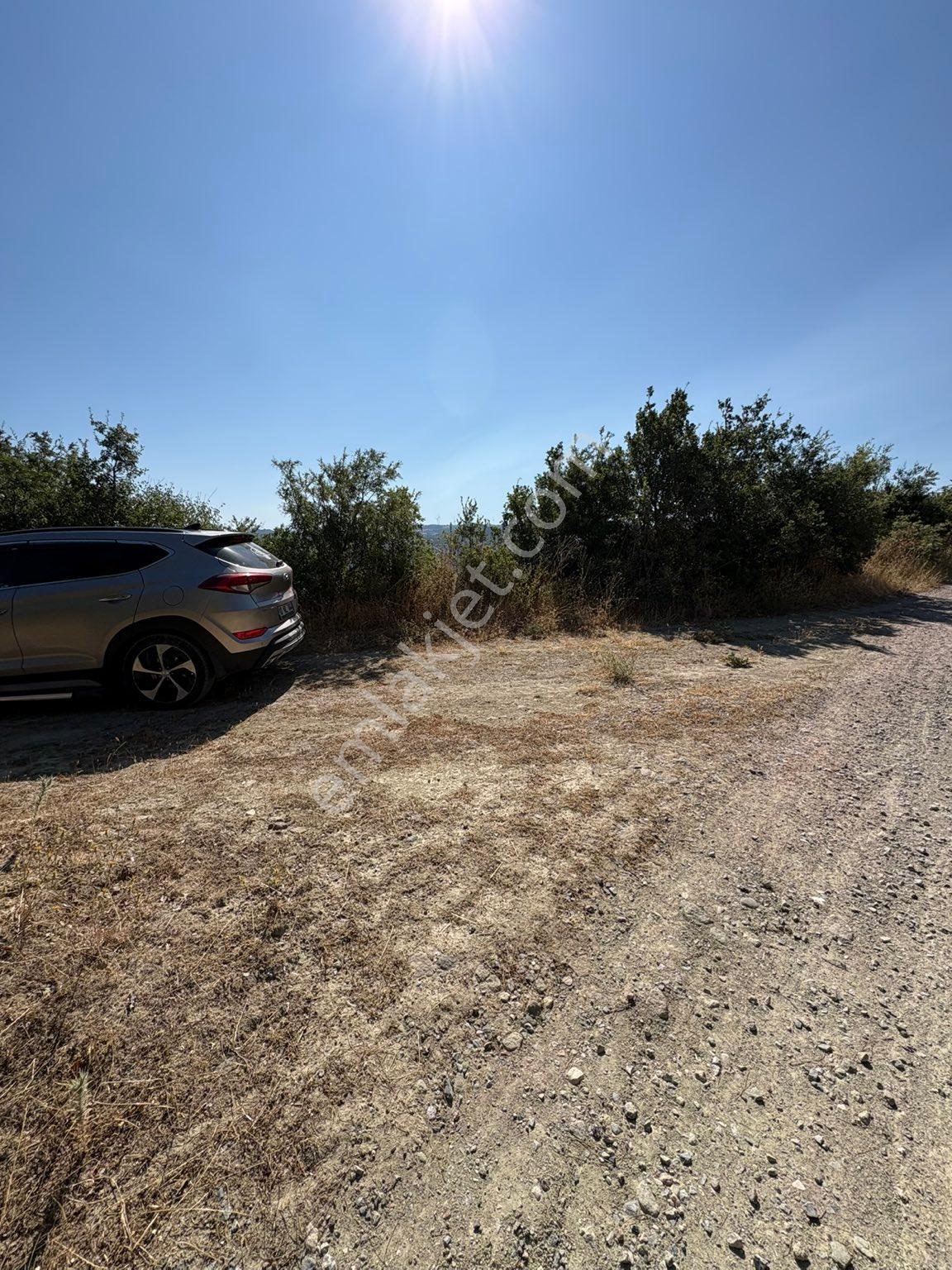 Dereköy Mahallesi’nde 10.000 M² Satılık Zeytinlik 🌿 - Görsel 20