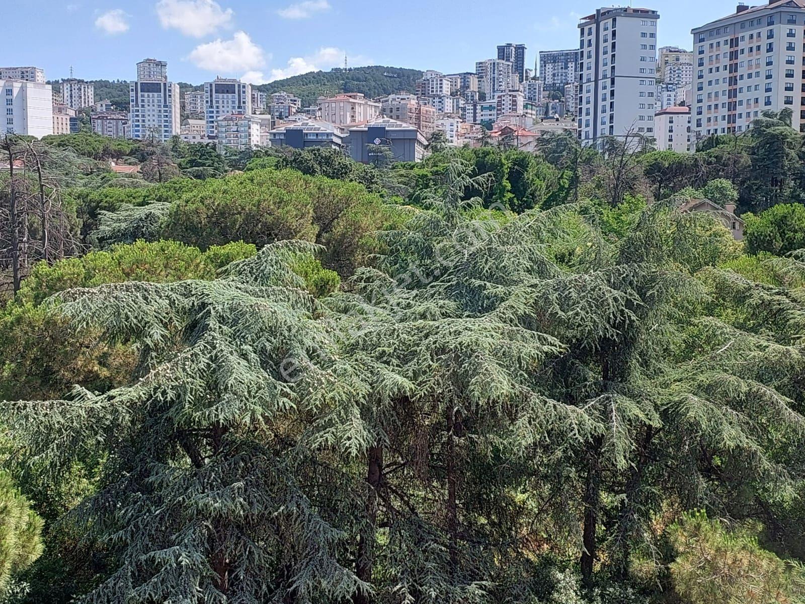 Mertcan Dan Alt Çarşıda Arakat 3+1 Çift Balkonlu Fırsat Kiralık Daire - Görsel 26