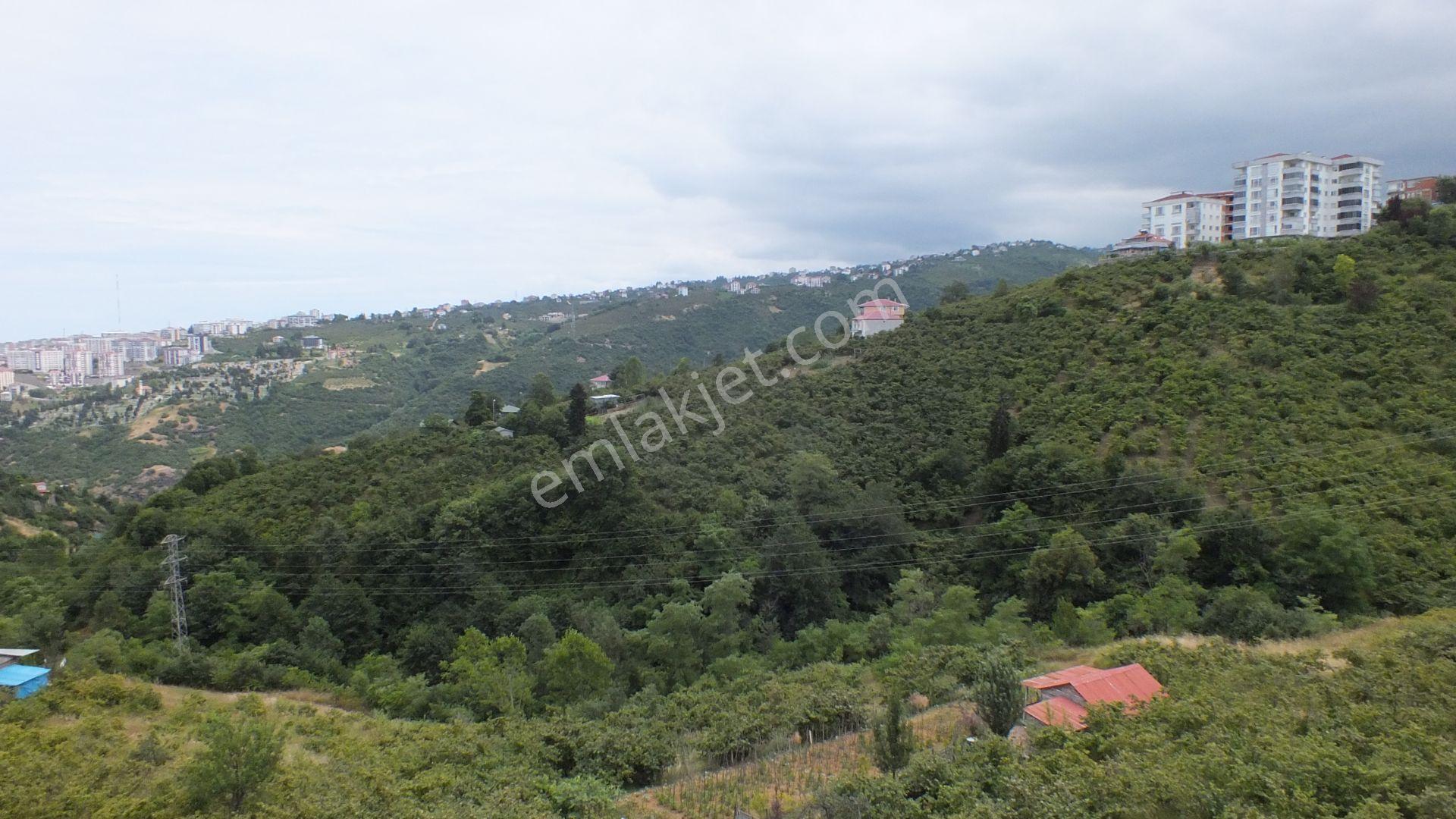 Çukurçayır Kantekin Park Kiralık 2. Kat 3+1 150m2 Sıfır Daire - Görsel 19