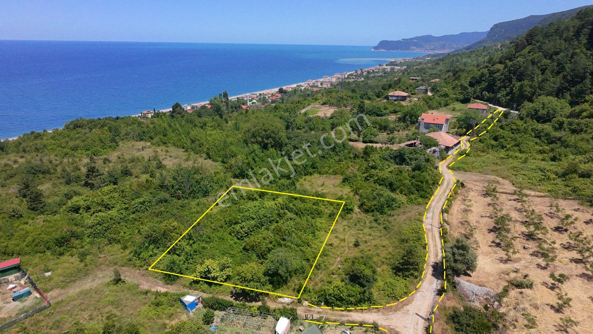 Cide Gebeş'te Denize 500m Mesafede, Ayrık 2 Kat İmarlı Satılık Arsa - Görsel 3