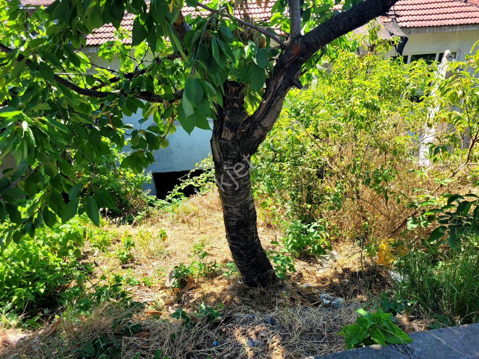 Maltepe'de 273m² Arsa İçerisinde 2 Katlı Satılık 3+1 Müstakil Ev - Görsel 13