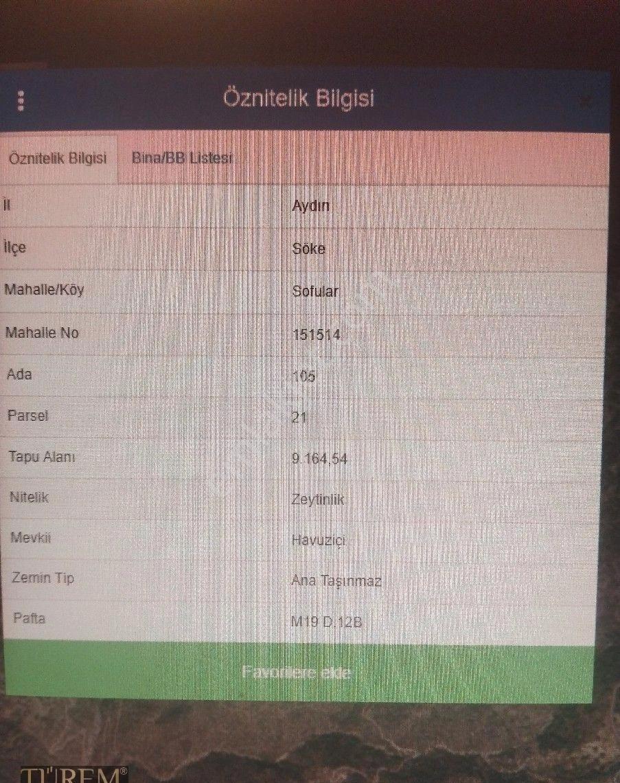 Satılık Zeytinlik Sofularda - Görsel 2