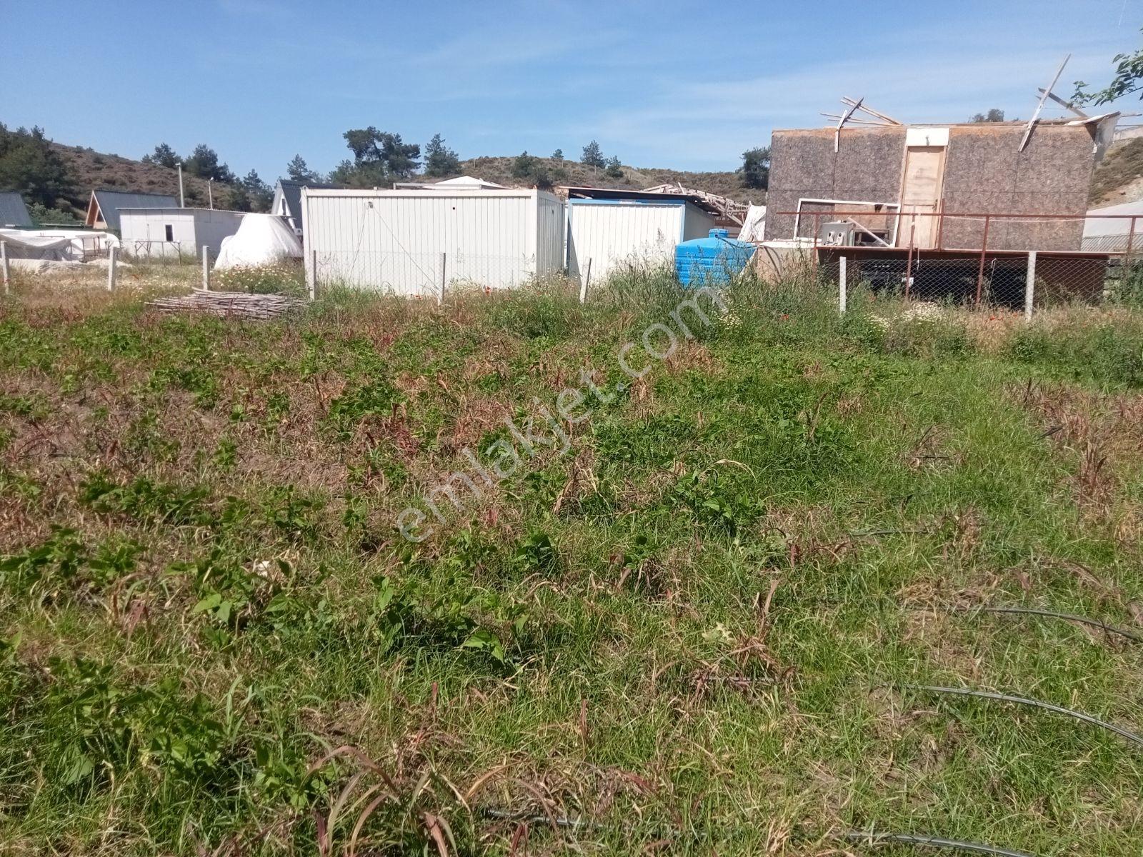 Falcon Dan Günlükbaşı Da 1000m²tarla - Görsel 10