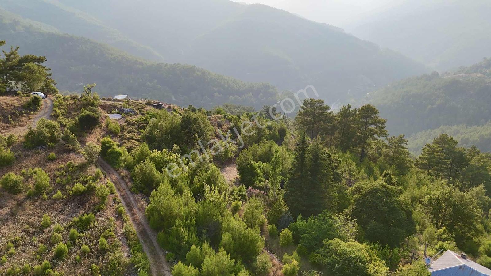 Alanya Gümüşkavak Yatırımlık 5 Dönüm - Görsel 9