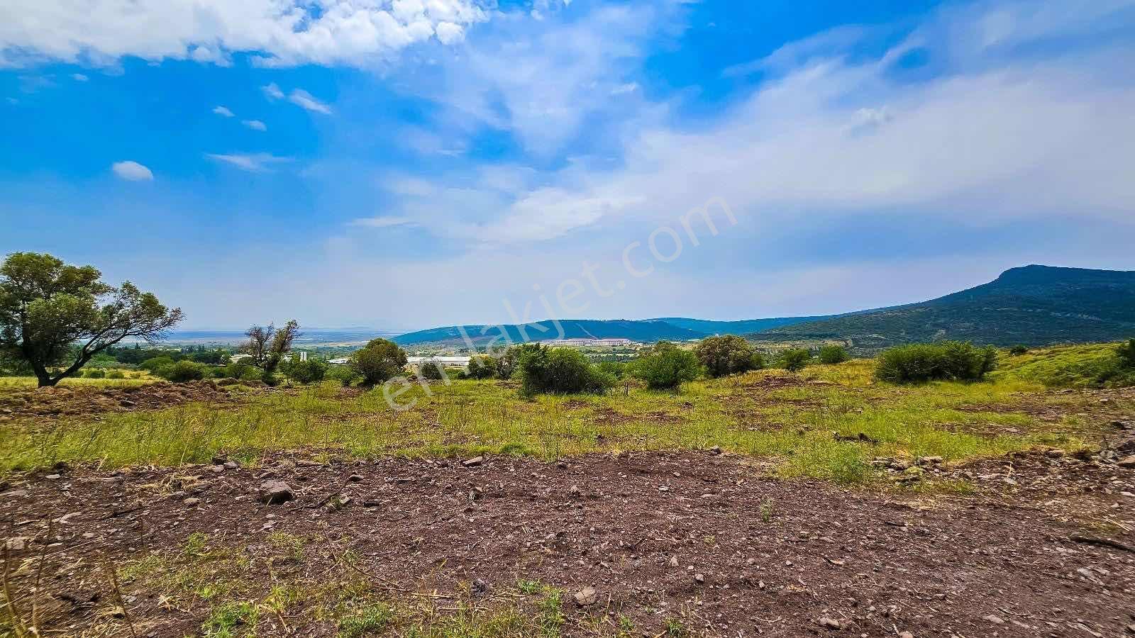 Foçada Deniz Manzaralı Satılık Hisseli Tarla - Görsel 2