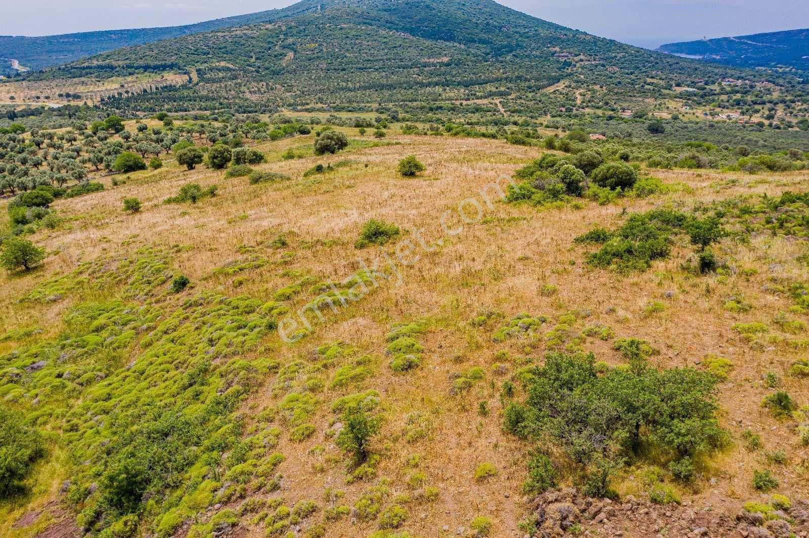 Foçada Deniz Manzaralı Satılık Hisseli Tarla - Görsel 7