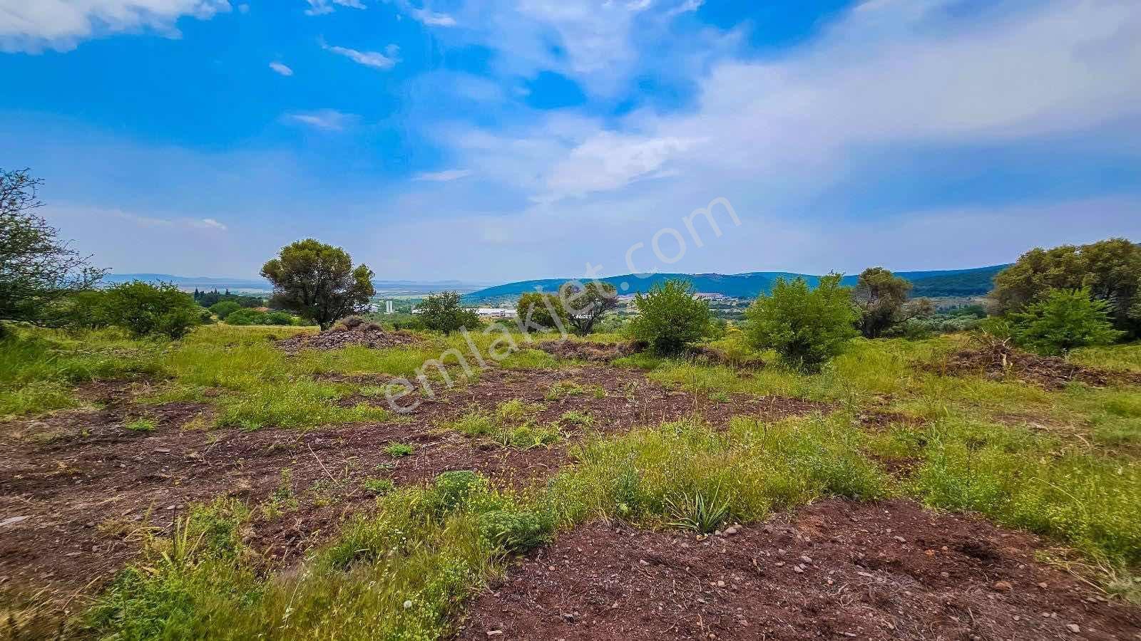 Foçada Deniz Manzaralı Satılık Hisseli Tarla - Görsel 10