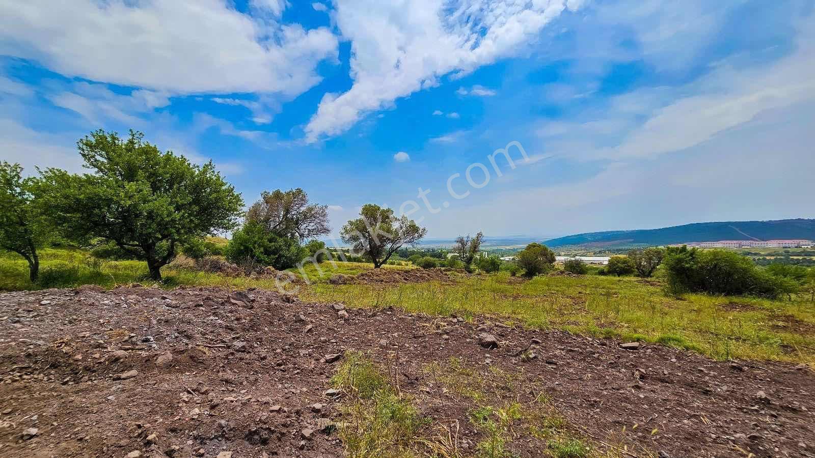 Foçada Deniz Manzaralı Satılık Hisseli Tarla - Görsel 11