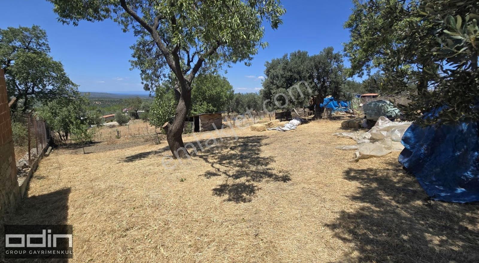 Odin Gayrimenkul| 1.067m² Köy İçi, Deniz Gören Bahçe | Ulubeyler - Görsel 4