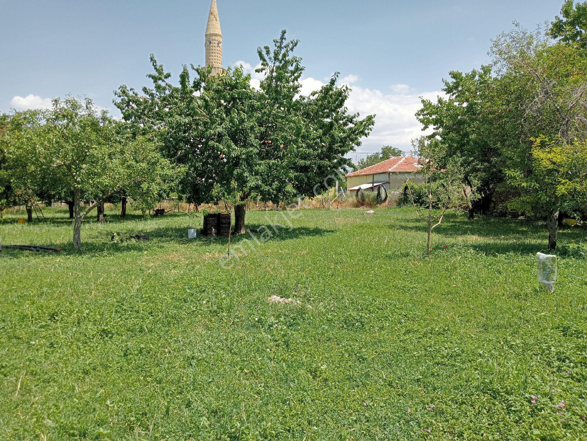 Belceağaç Mahallesinde Satılık Bahçe - Görsel 4