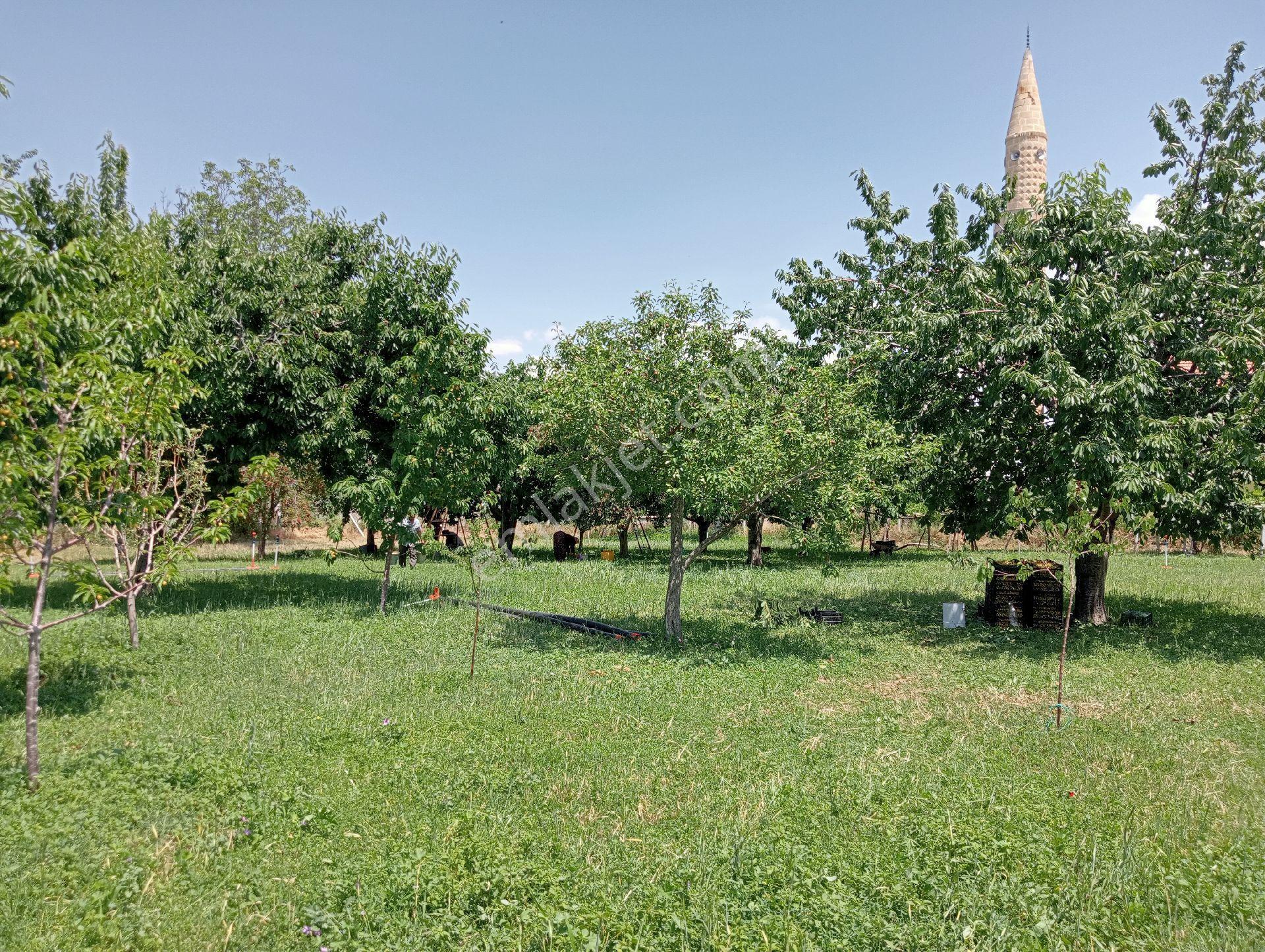 Belceağaç Mahallesinde Satılık Bahçe - Görsel 2