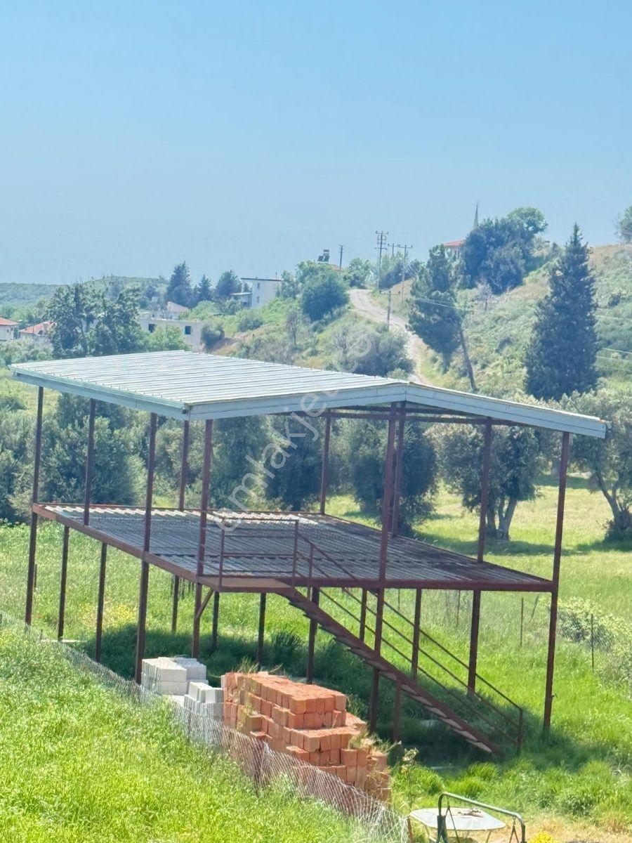 Karaözde Müstakil Tapu Satılık Kelepir Tarla - Görsel 3