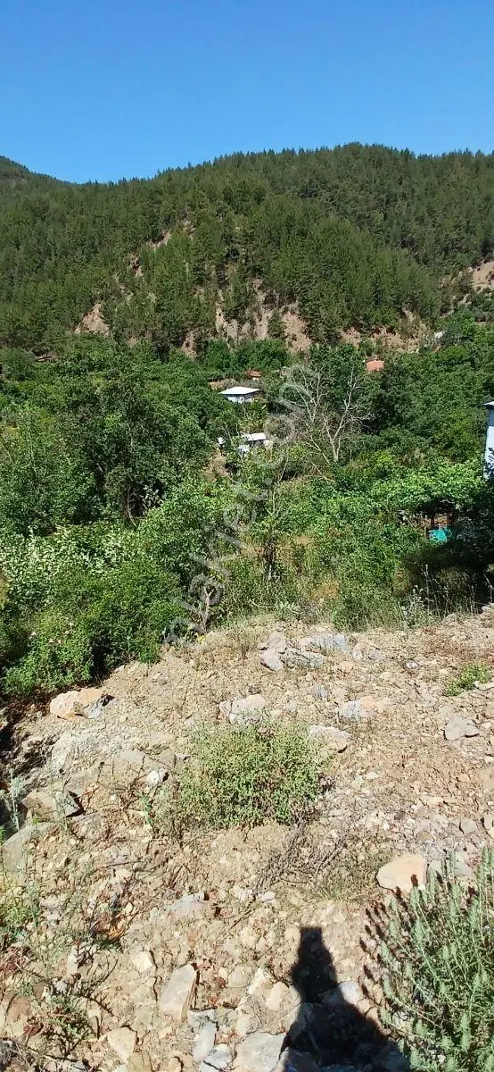 Gündoğmuş Uçansu Şelalesine 500 Metre Uzaklıkta Satılık Tarla