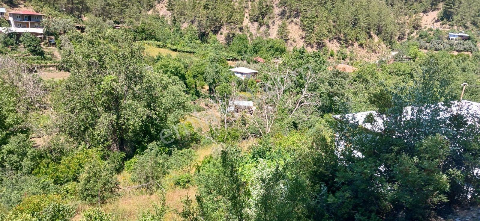 Gündoğmuş Uçansu Şelalesine 500 Metre Uzaklıkta Satılık Tarla - Görsel 2