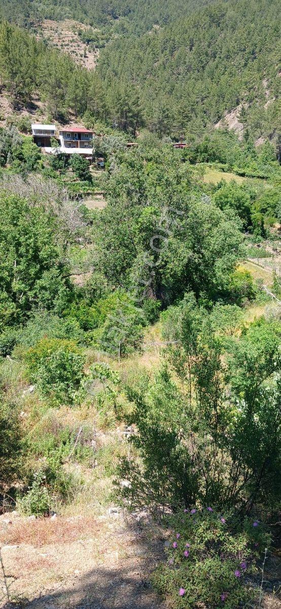 Gündoğmuş Uçansu Şelalesine 500 Metre Uzaklıkta Satılık Tarla - Görsel 5