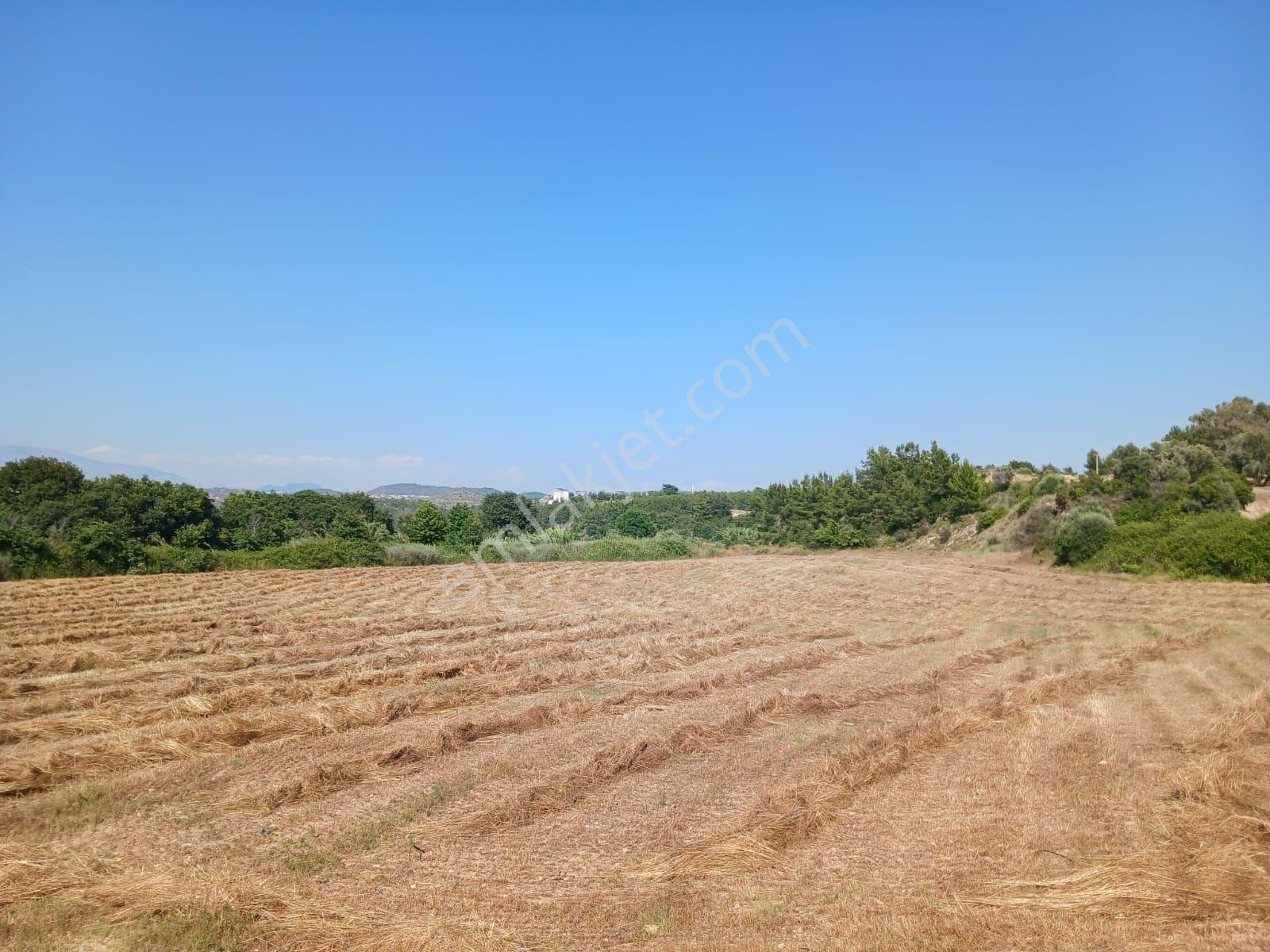 Manavgat Seydilerde Satılık Müstakil Tapu Tarla - Görsel 3