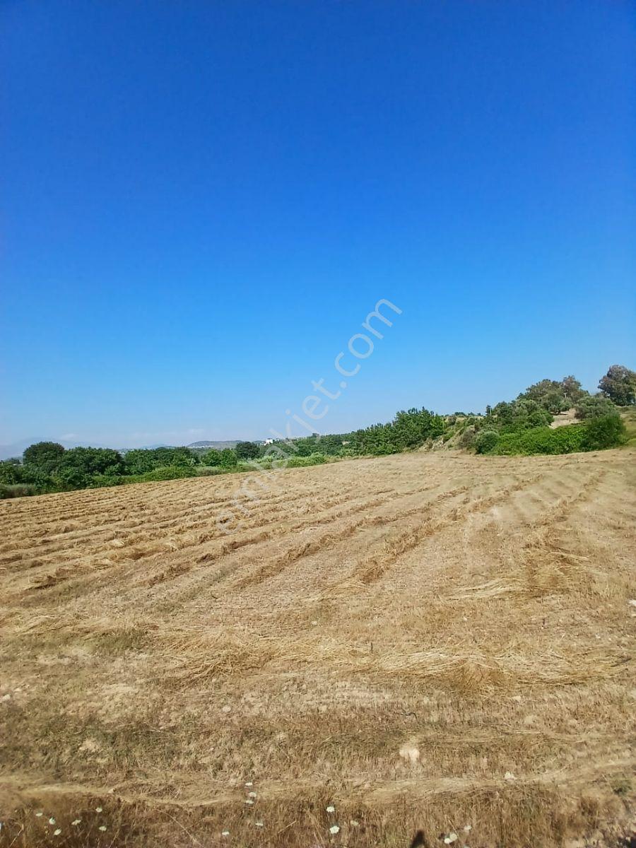 Manavgat Seydilerde Satılık Müstakil Tapu Tarla - Görsel 10