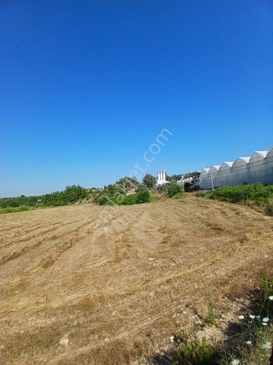 Manavgat Seydilerde Satılık Müstakil Tapu Tarla