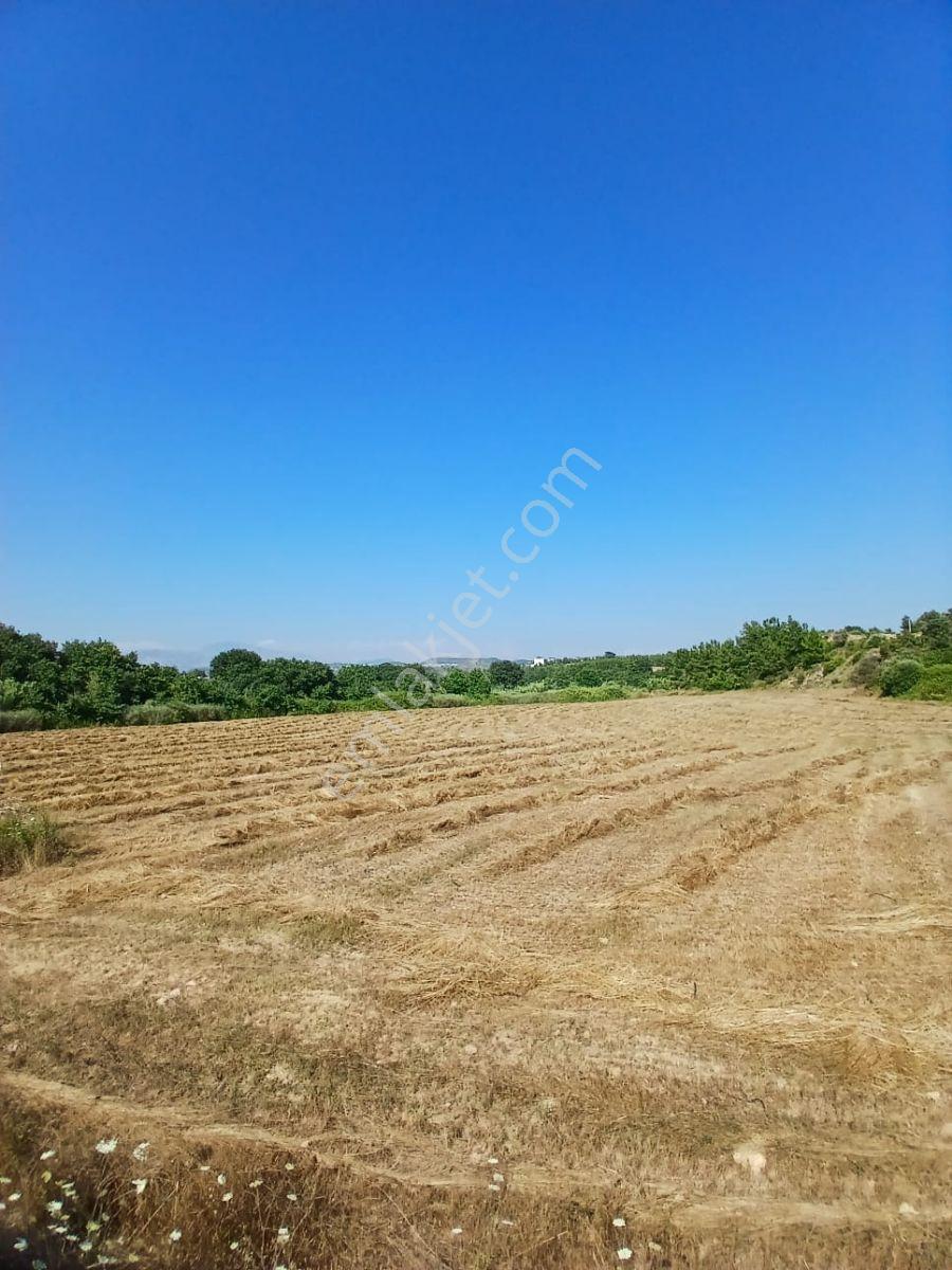 Manavgat Seydilerde Satılık Müstakil Tapu Tarla - Görsel 19