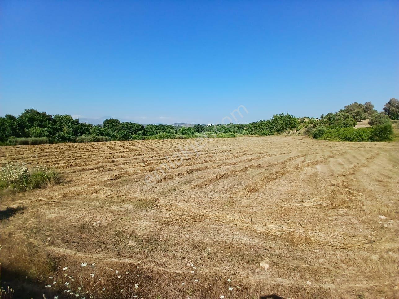 Manavgat Seydilerde Satılık Müstakil Tapu Tarla - Görsel 6