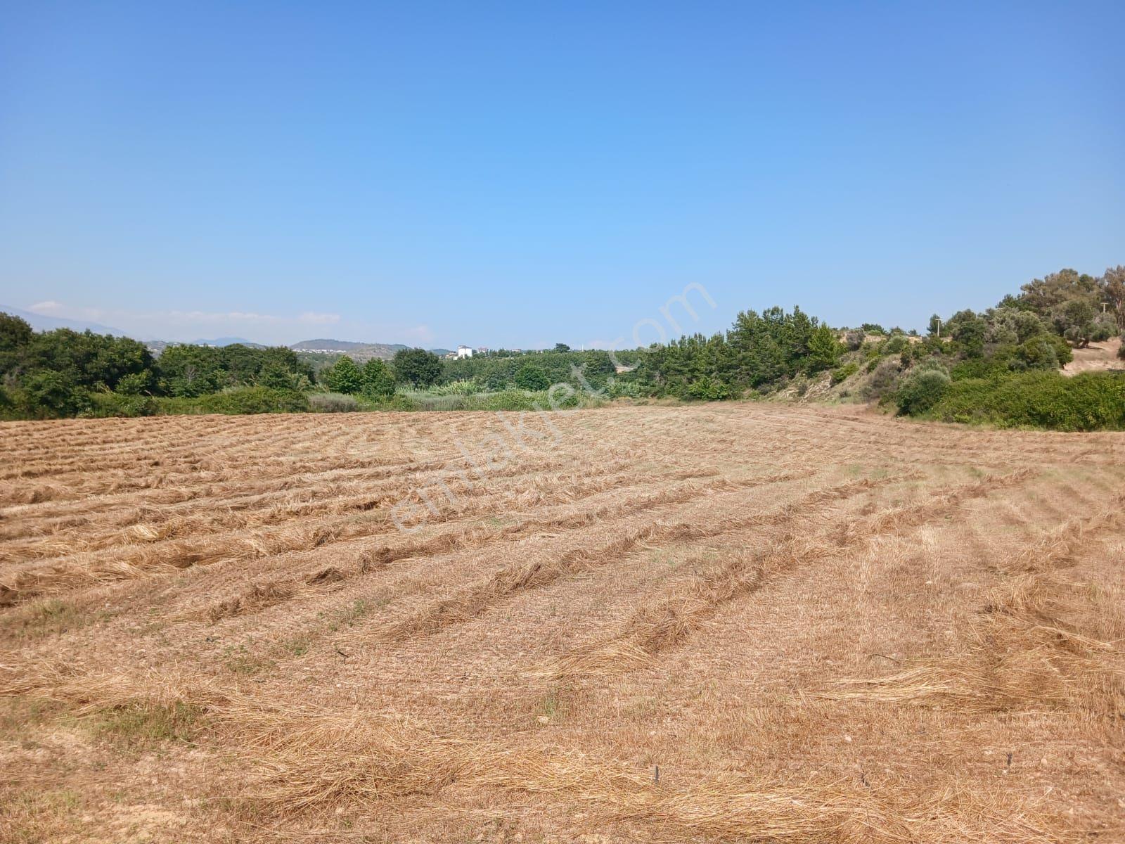 Manavgat Seydilerde Satılık Müstakil Tapu Tarla - Görsel 5