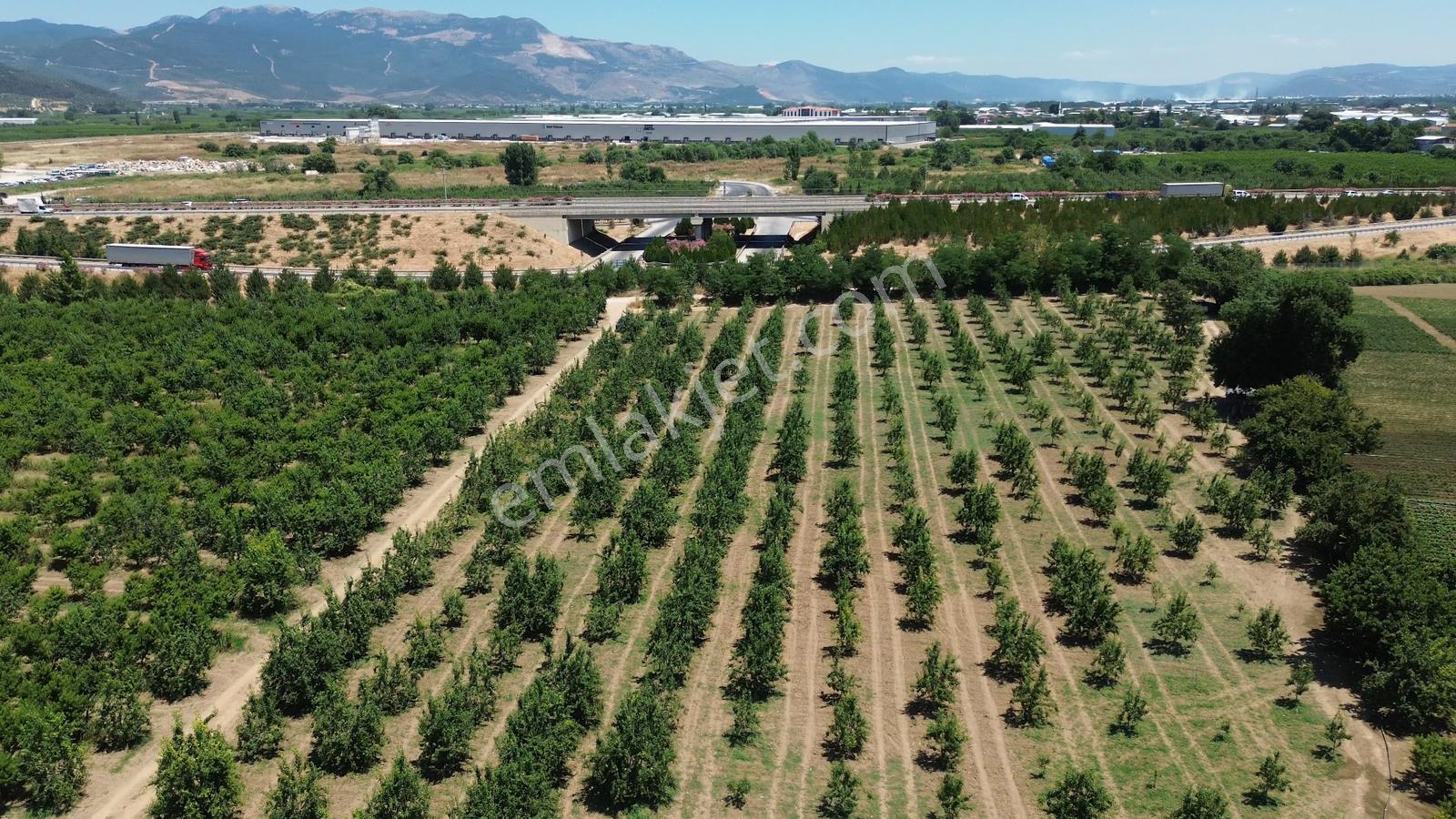 Remax Area'dan Gelir Üreten Ve Yatırımlık Satılık 90 Dönüm Arazi - Görsel 8