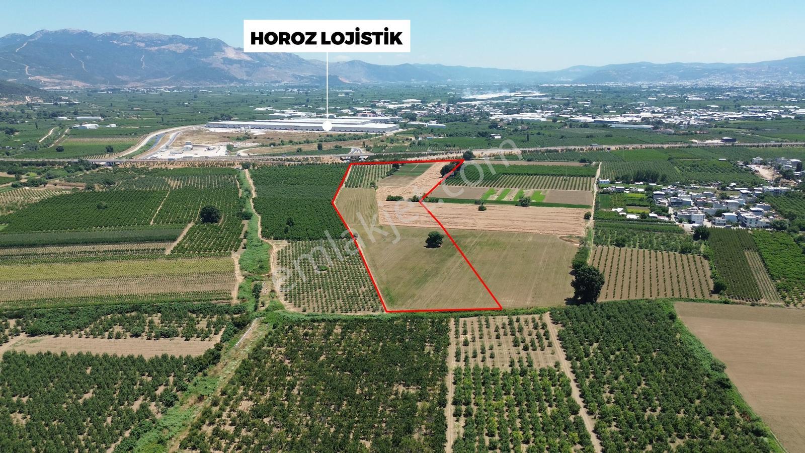 Remax Area'dan Gelir Üreten Ve Yatırımlık Satılık 90 Dönüm Arazi - Görsel 3