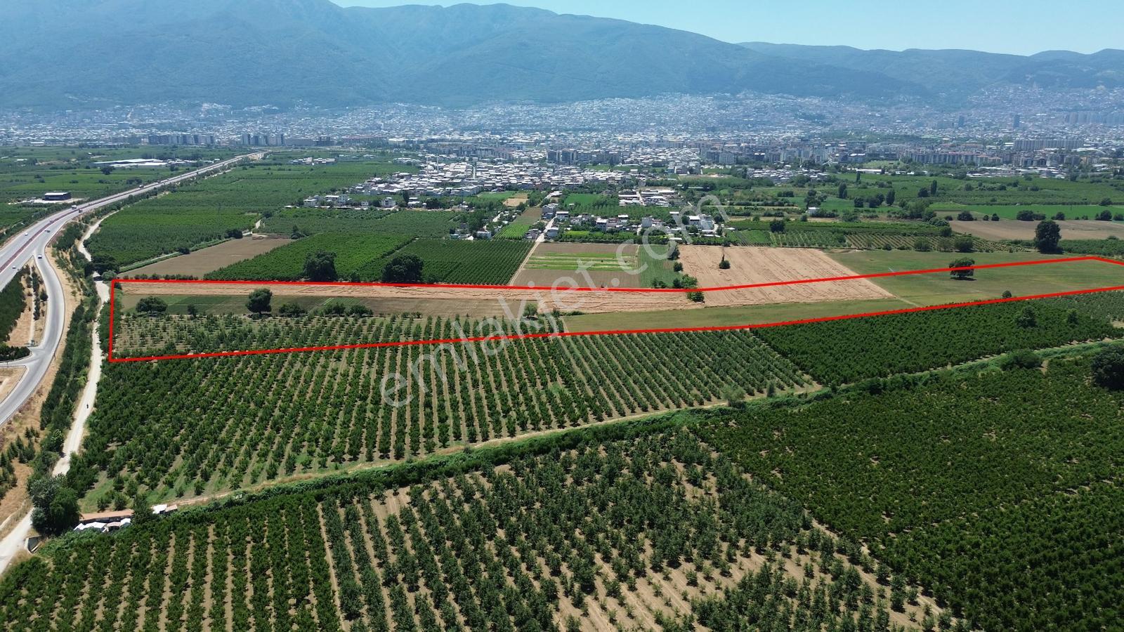 Remax Area'dan Gelir Üreten Ve Yatırımlık Satılık 90 Dönüm Arazi - Görsel 6