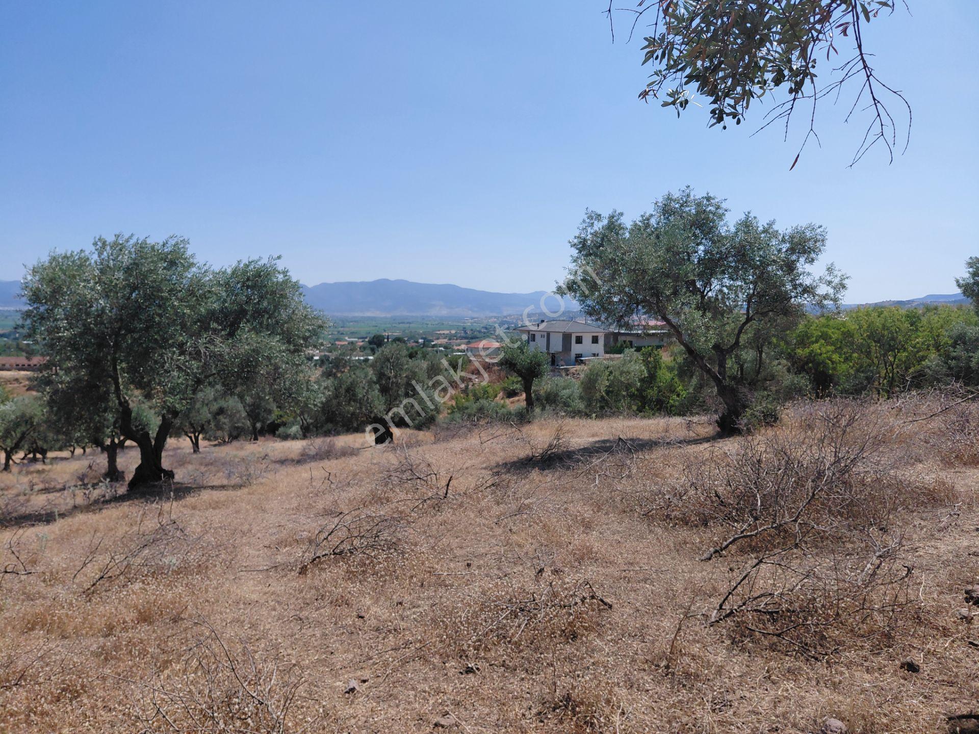 Üçpınar Da Satılık 467 M2 Harika Manzaralı Villa Arsası 2.550.000 Tl