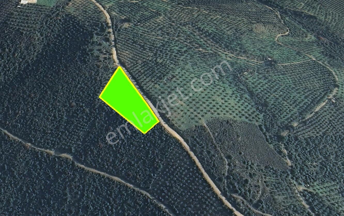 Cb Focus'tan Gemlik / Narlı 'da Satılık Deniz Manzaralı Arazi - Görsel 3