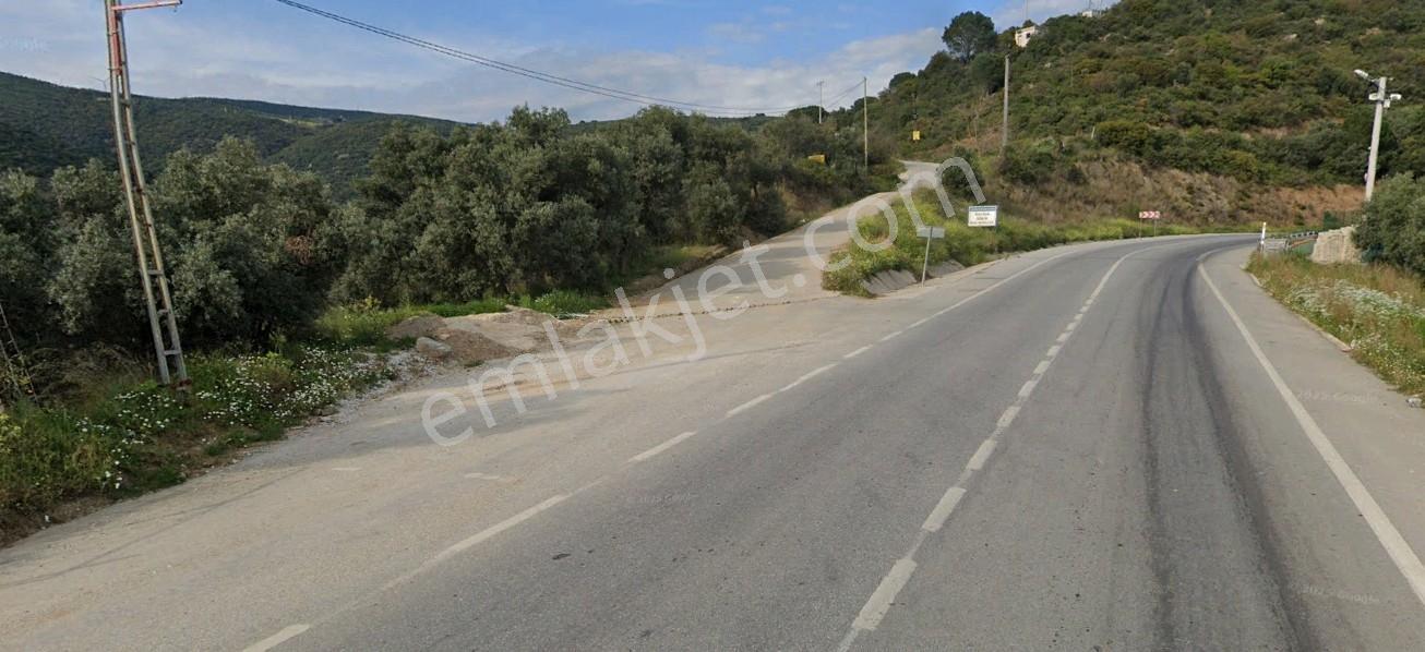 Cb Focus'tan Gemlik / Narlı 'da Satılık Deniz Manzaralı Arazi - Görsel 9