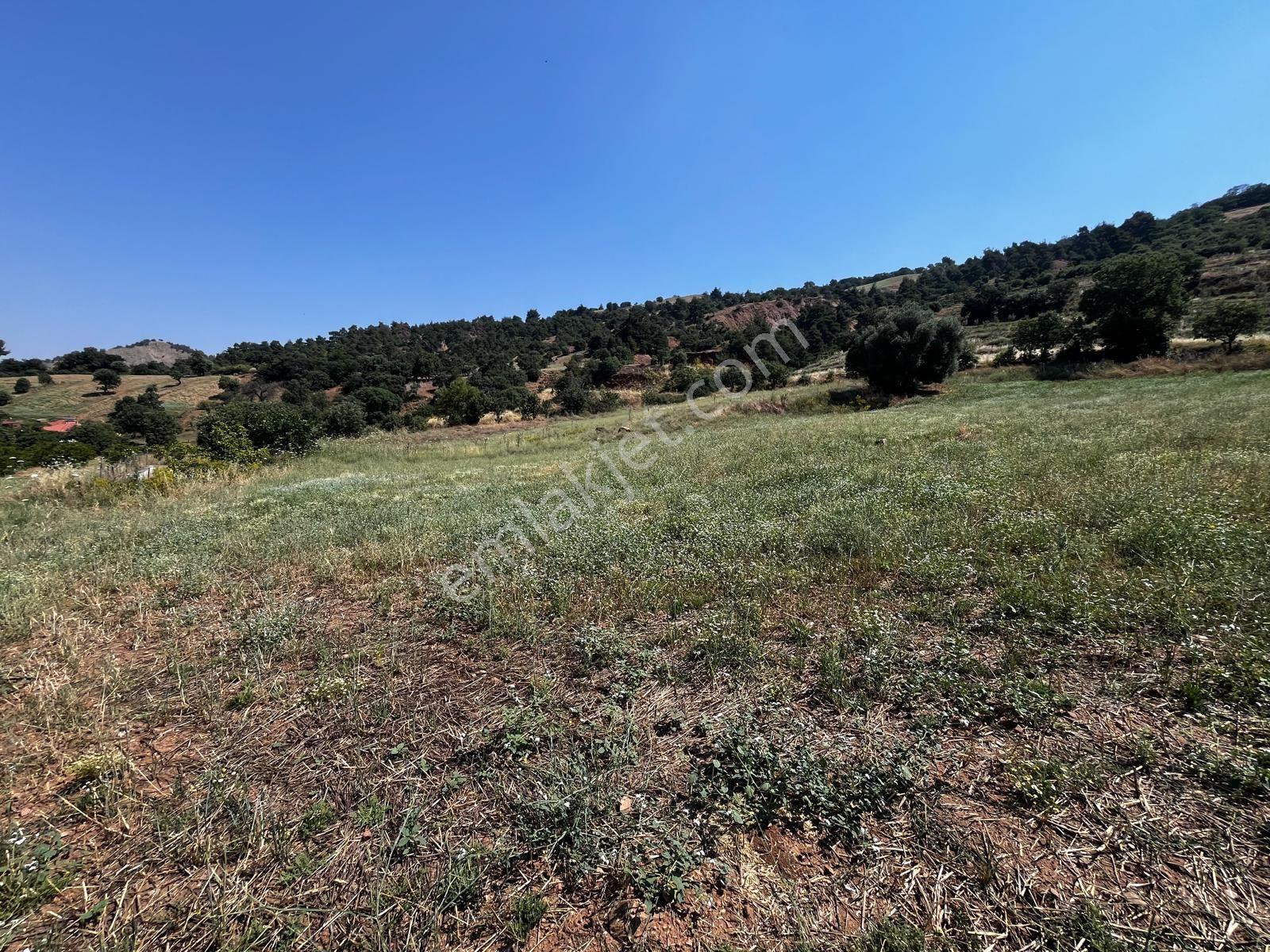 Çelikli Mahallesi 9 Dönüm Satılık Arazi
