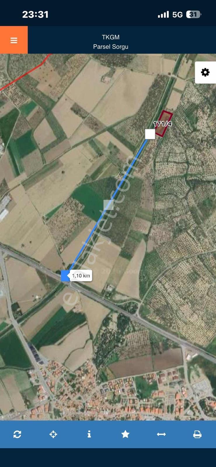 Dağlı Gayrimenkulden Yola Cepheli 9.636 M² Değerli Zeytinlik - Görsel 8