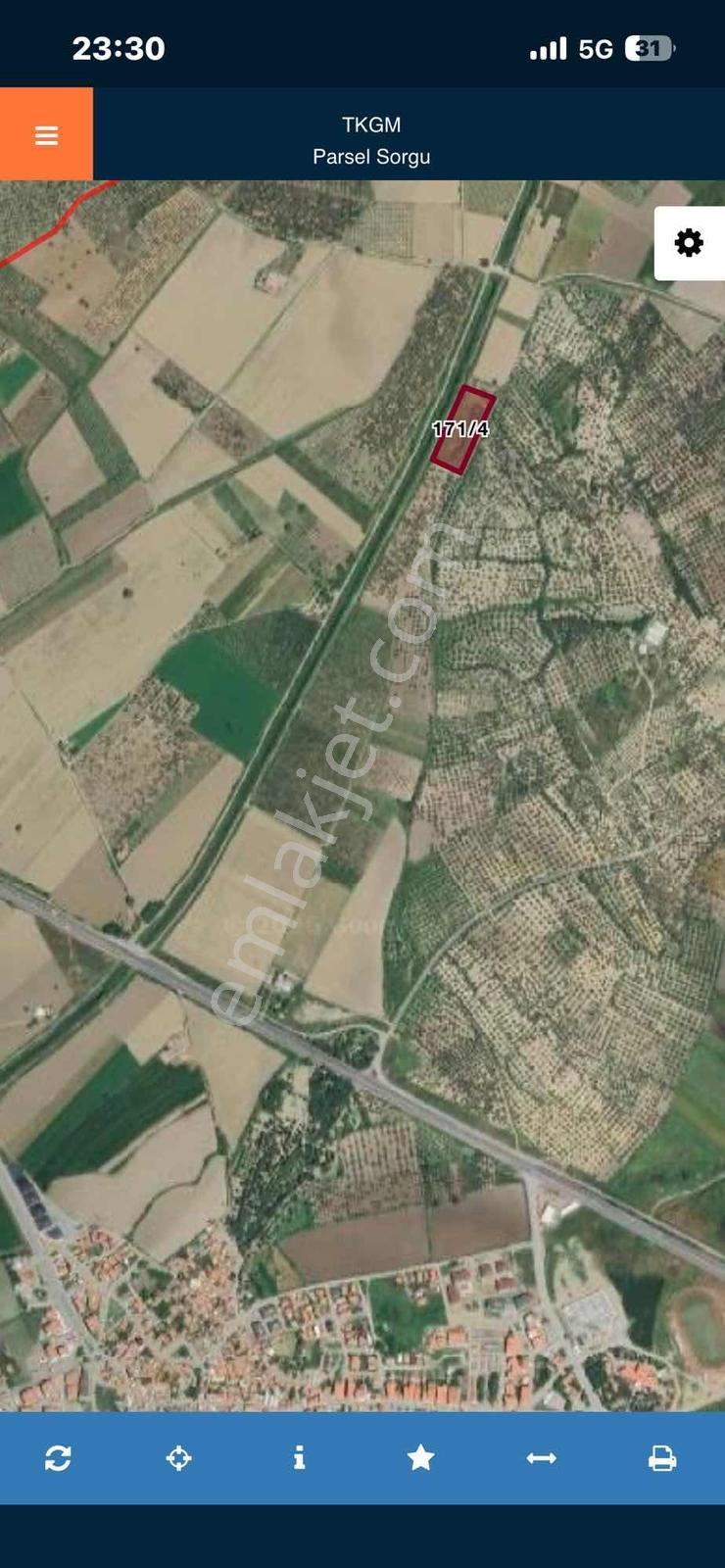 Dağlı Gayrimenkulden Yola Cepheli 9.636 M² Değerli Zeytinlik - Görsel 7