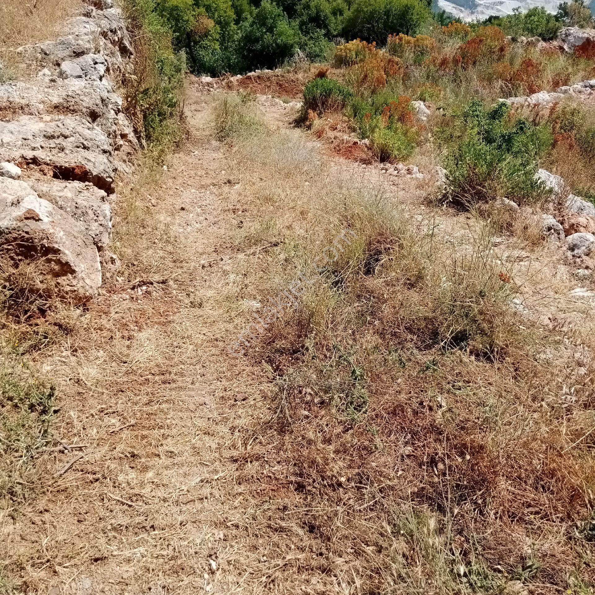 Alanya' Bademagaci - Görsel 13