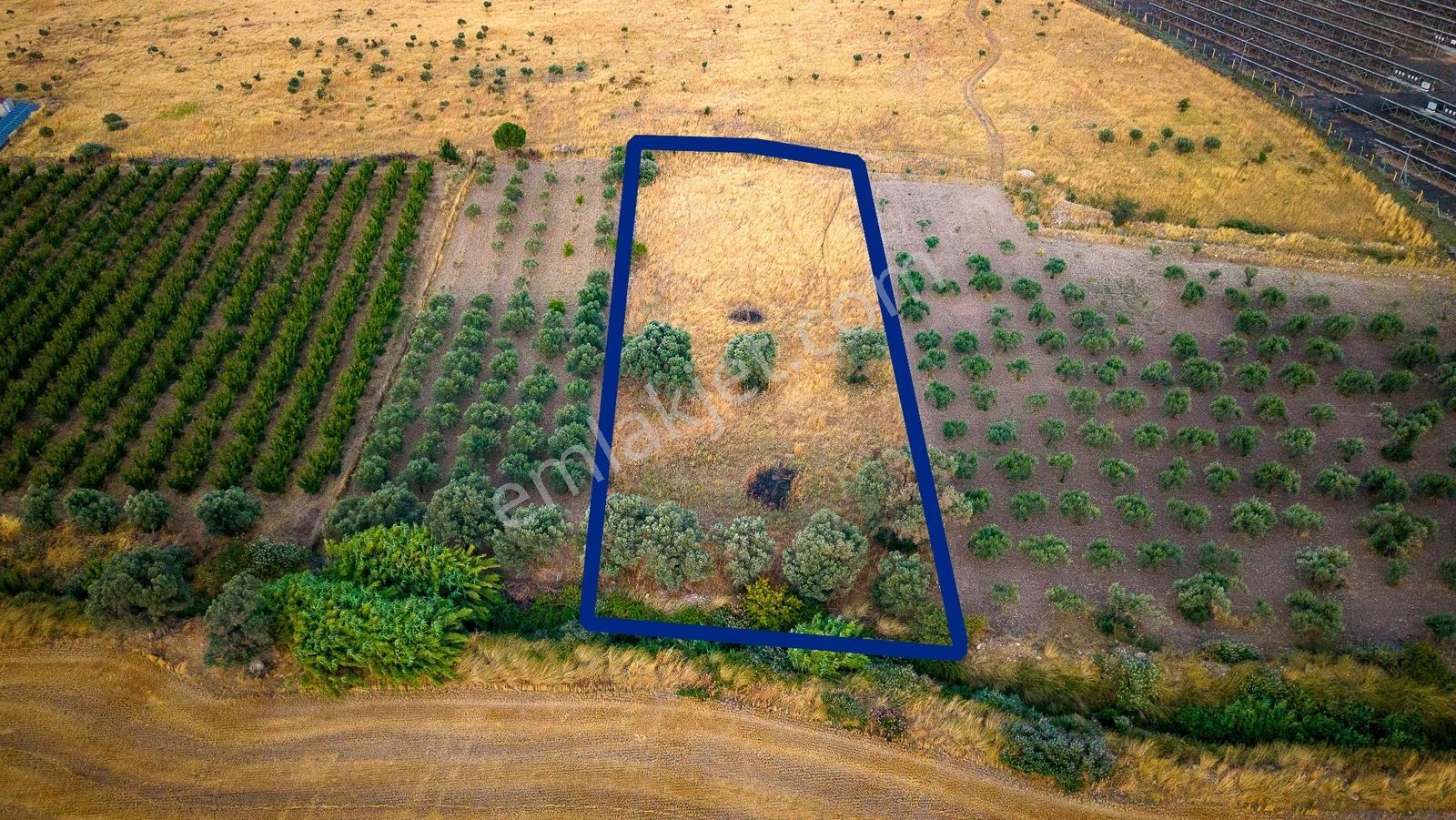 Foça Kocamehmetler'de Satılık Müstakil Tarla - Görsel 8