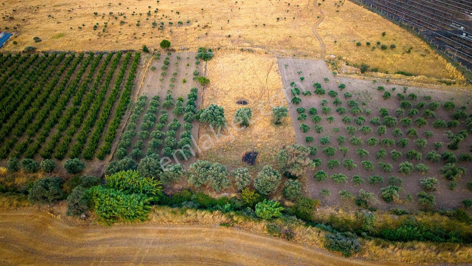 Foça Kocamehmetler'de Satılık Müstakil Tarla - Görsel 22