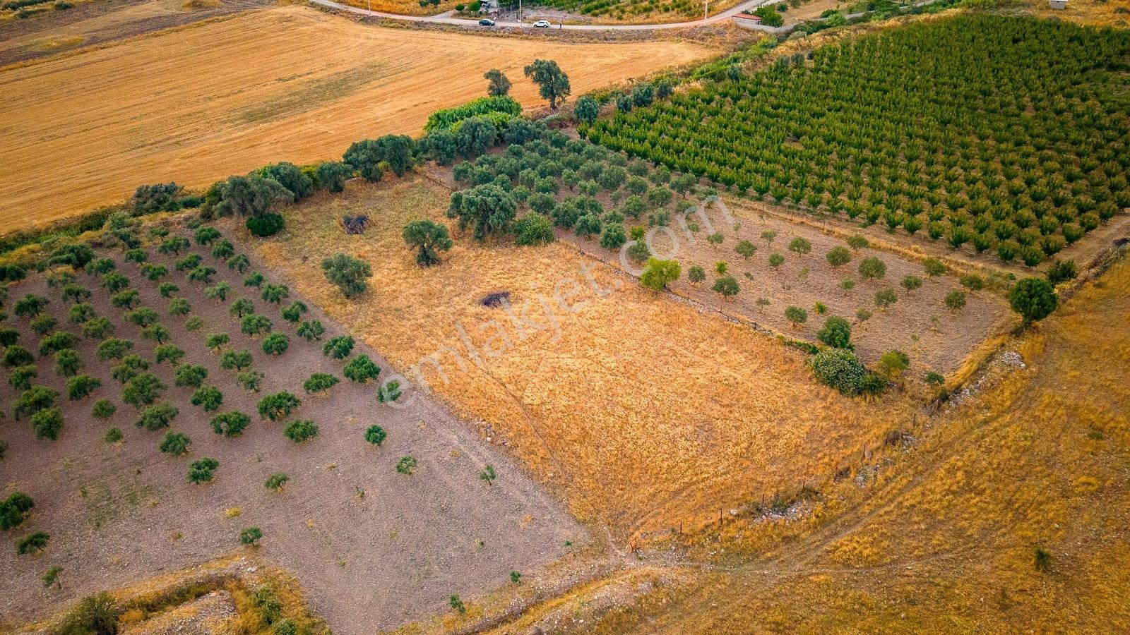 Foça Kocamehmetler'de Satılık Müstakil Tarla - Görsel 26