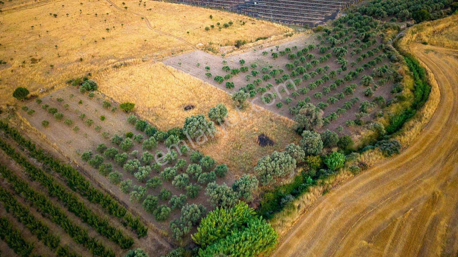 Foça Kocamehmetler'de Satılık Müstakil Tarla - Görsel 32