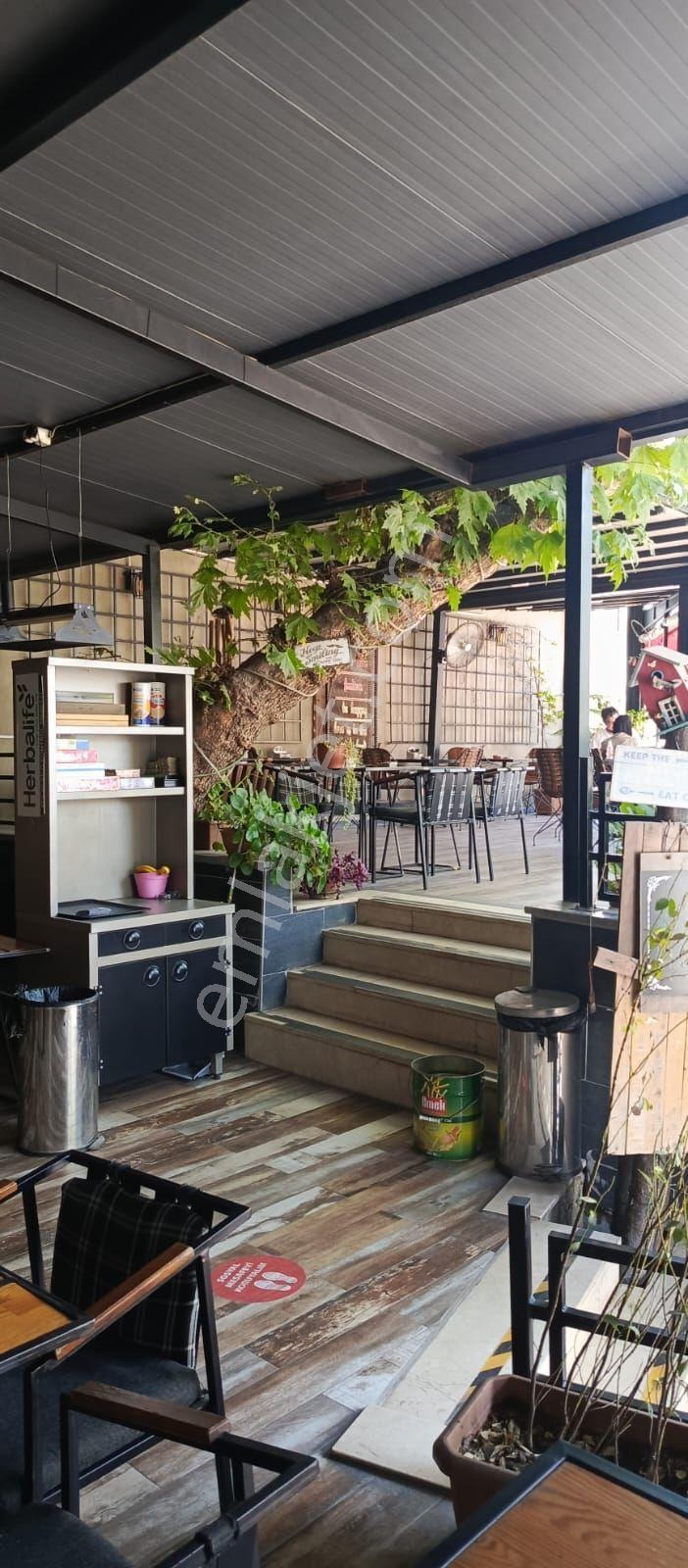 Satılık Mülküyle Birlikte Çalışır Halde Kafe - Görsel 6