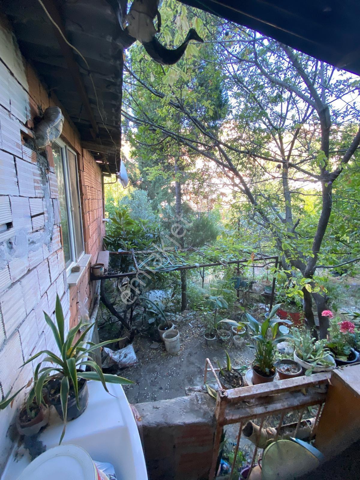 Damgacı Camii Karşısı 762 M²arsa İçinde Satılık 2 Katlı Ev - Görsel 12