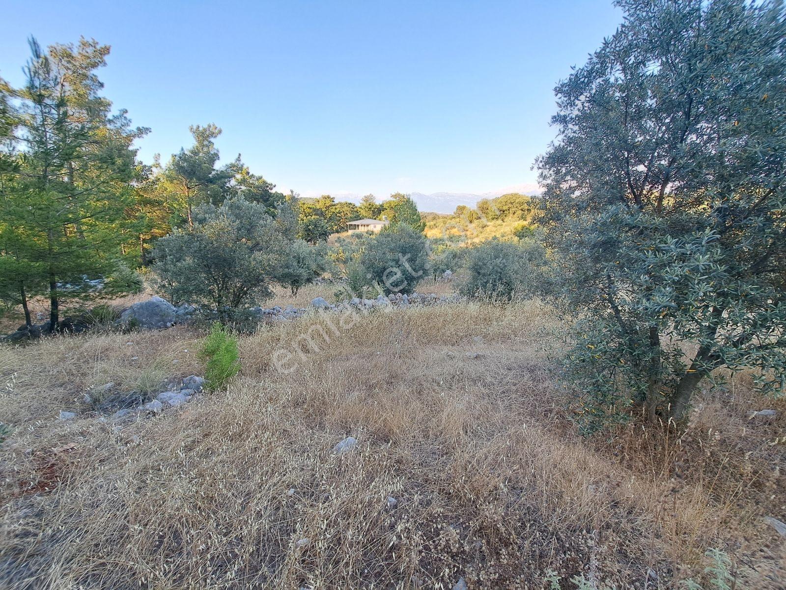 Fethiye Gökben'de 861 M² Tek Tapulu Tarla! - Görsel 22