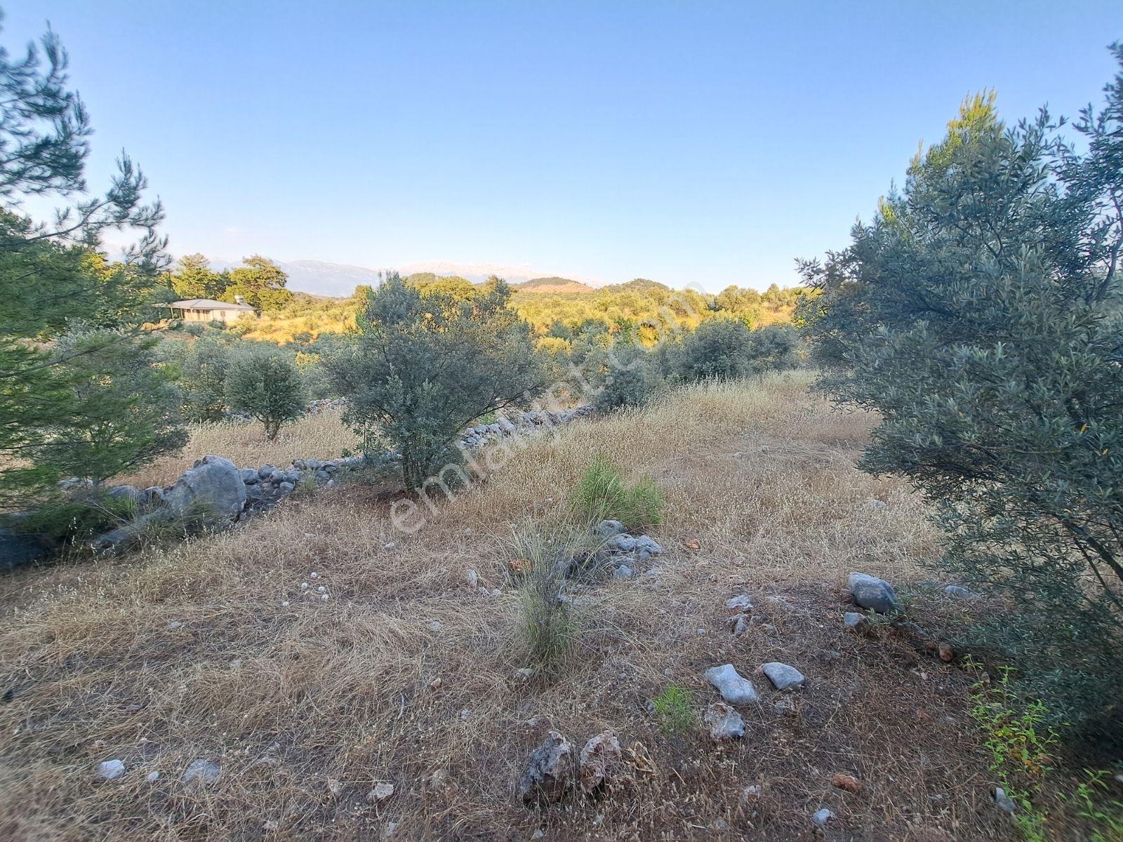 Fethiye Gökben'de 861 M² Tek Tapulu Tarla! - Görsel 21