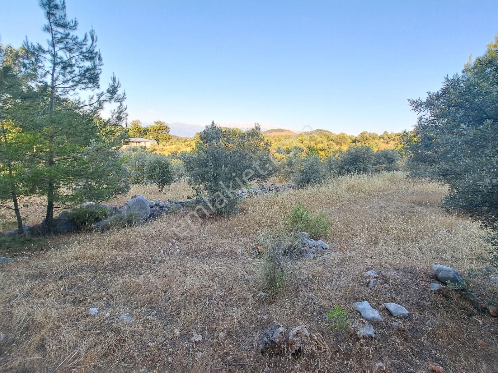 Fethiye Gökben'de 861 M² Tek Tapulu Tarla! - Görsel 4