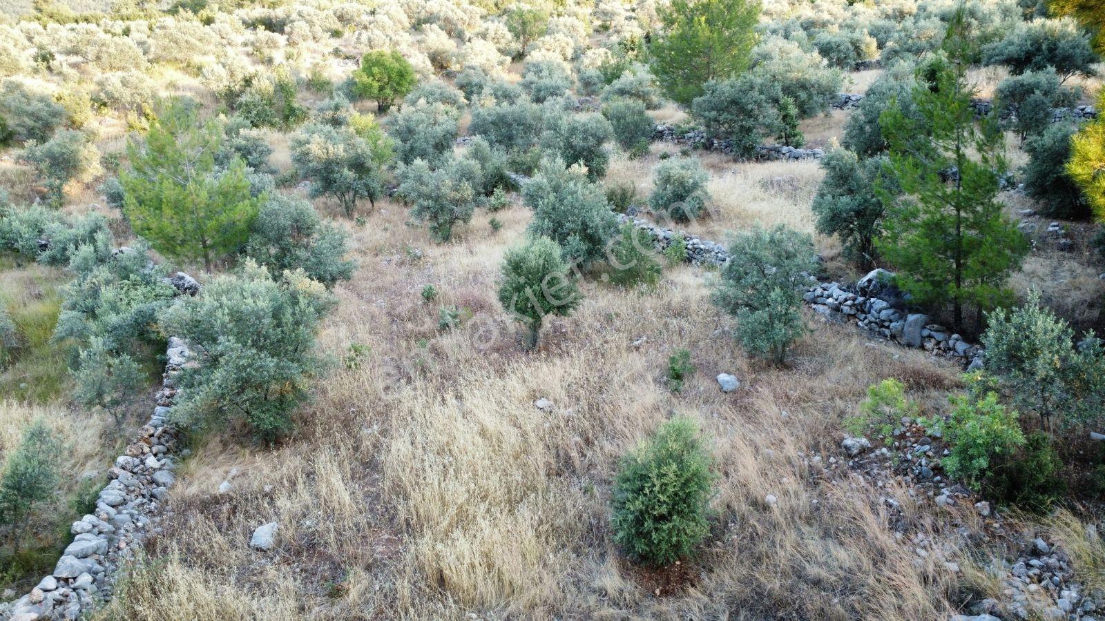 Fethiye Gökben'de 861 M² Tek Tapulu Tarla! - Görsel 7