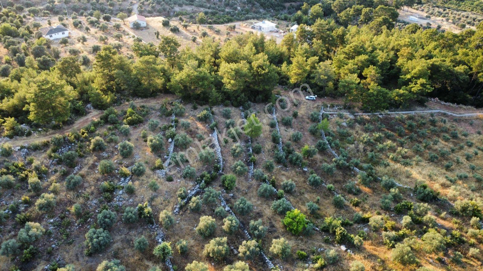 Fethiye Gökben'de 861 M² Tek Tapulu Tarla! - Görsel 29