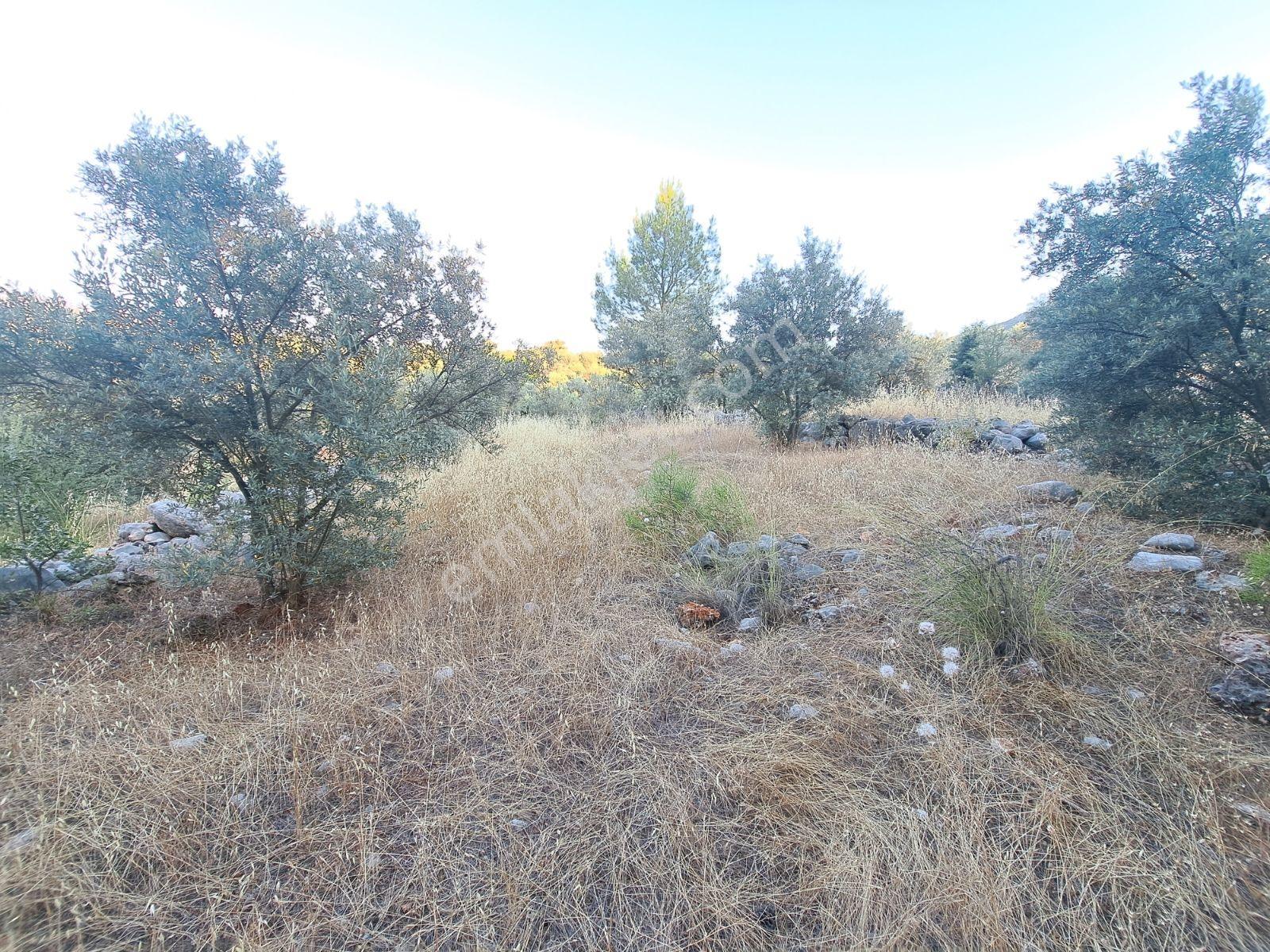 Fethiye Gökben'de 861 M² Tek Tapulu Tarla! - Görsel 13