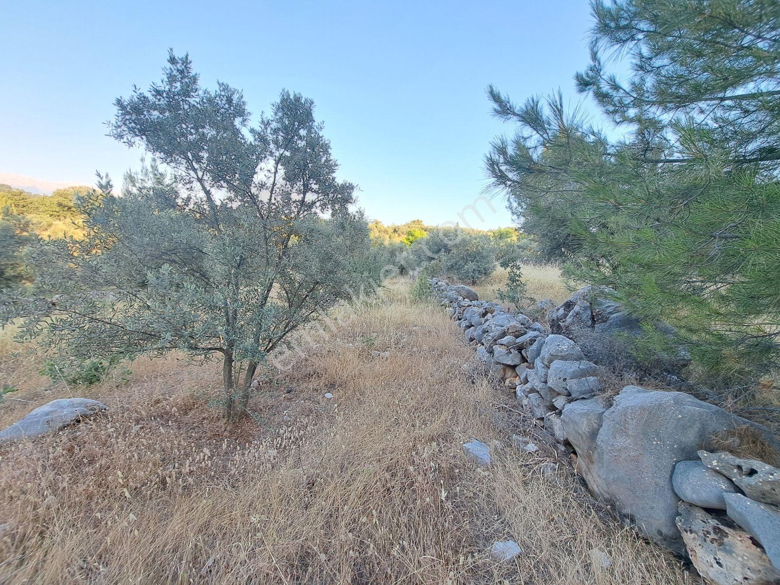 Fethiye Gökben'de 861 M² Tek Tapulu Tarla! - Görsel 3