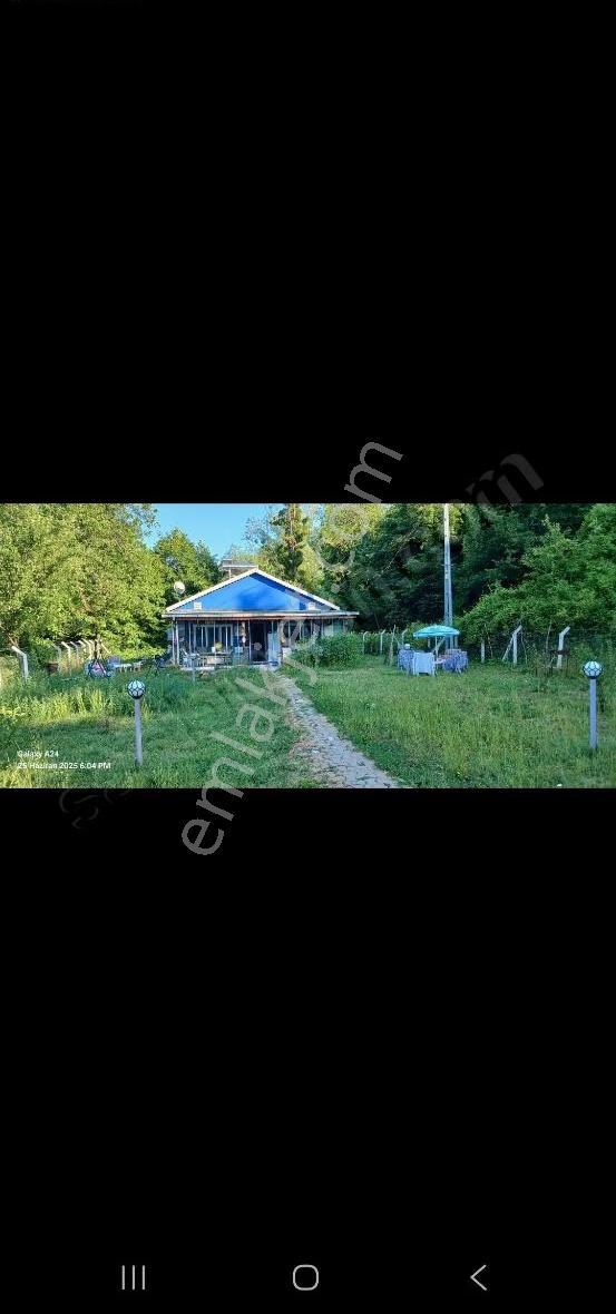 Acarlar Emlaktan Sinop İli Türkelide Hamamlı Köyü Tarla Ve Ev