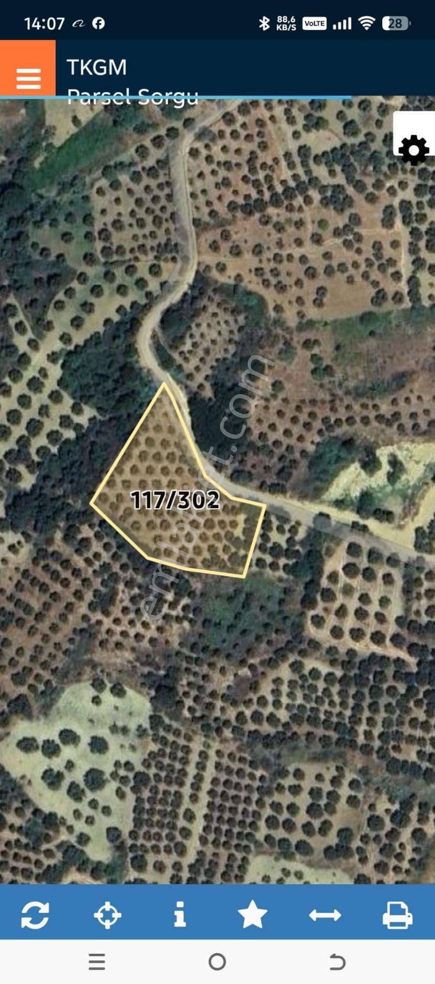 Tekirdağ Hoşköy De Satılık 2800 M2 Tarla 150 Adet Zeytinlik - Görsel 16